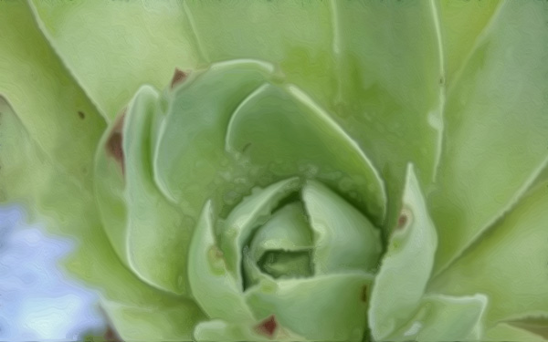 对物质要求极简,但要求精神丰沃的星座(巨蟹座人是最温柔的水象星座,他们头脑十分冷静,在生活中也不讲究排场,对于吃穿住行也毫不在意)-风水八字同城网