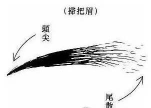 生有扫帚眉的人他们命理如何?-面相算命-风水八字同城网