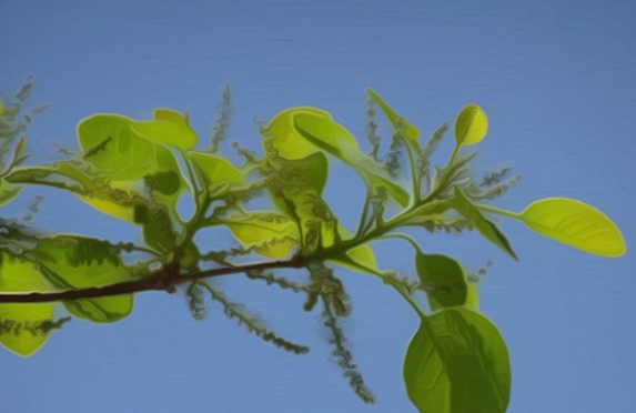 一天之中最佳的喝茶时间段是哪些?(午茶可以适当的泡浓一些,这样的话能够降低血脂,保护我们的血管)-风水八字同城网