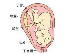 孕妈妈一定要注意这些风水问题,宝宝健康平安-风水八字同城网