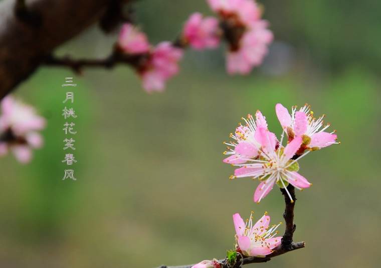 从出生的月份看人生的际遇(1)-命理运势-风水八字同城网