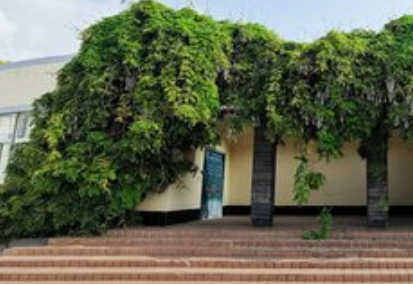 住宅周围种藤蔓植物对家居风水的影响-风水八字同城网