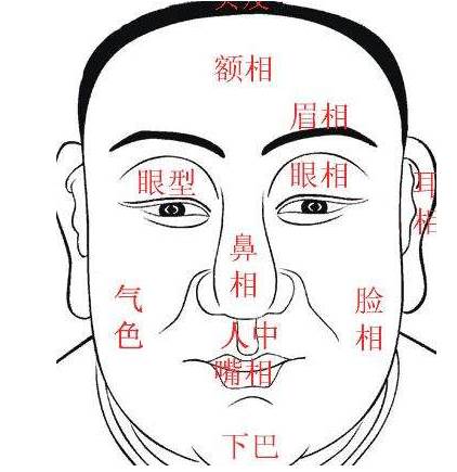 什么面相的男人事业难成-面相算命-风水八字同城网