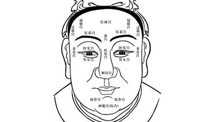 面相小知识,对比一下自己吧!-风水八字同城网