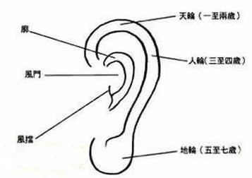 面相：耳朵大是不是代表福气好？-面相算命-风水八字同城网