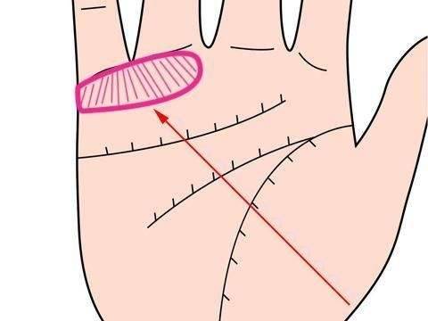 手相分析：那些手相的女人注定成为富婆-风水八字同城网