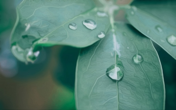 云南风水大师:办公室茶桌风水布局讲究-风水八字同城网