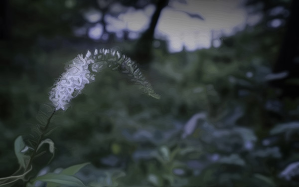 阴宅风水好不好,四条准则要记牢