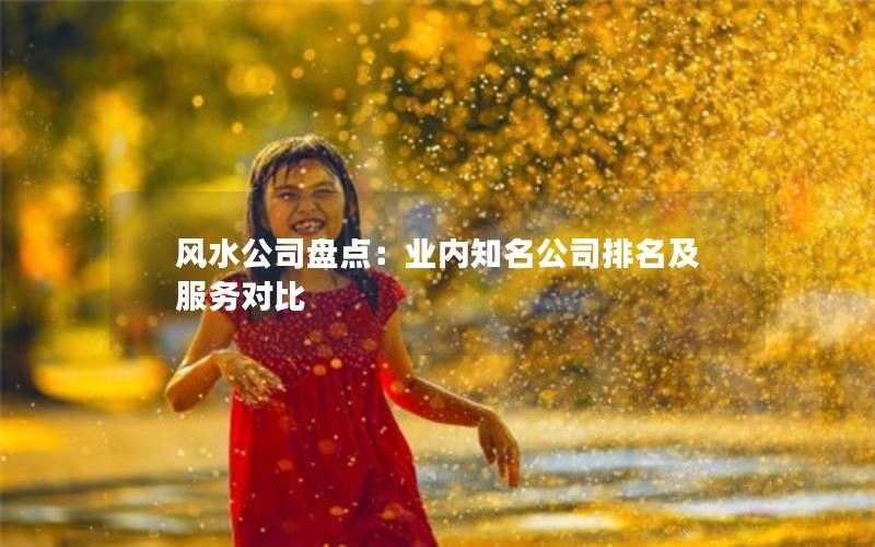 风水公司盘点：业内知名公司排名及服务对比