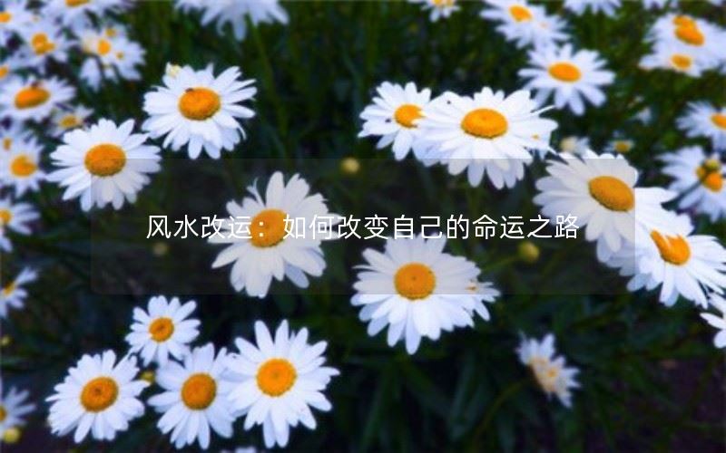 风水改运：如何改变自己的命运之路