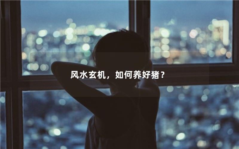 风水玄机，如何养好猪？