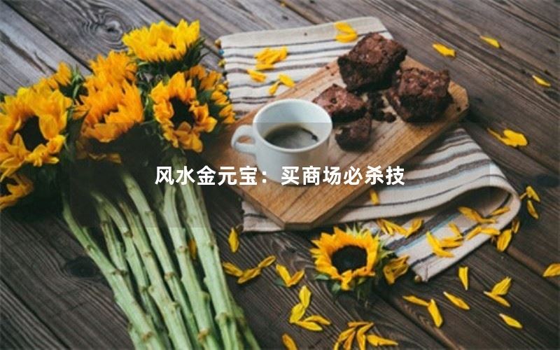 风水金元宝：买商场必杀技