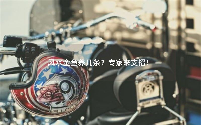 以风水金鱼养几条？专家来支招！