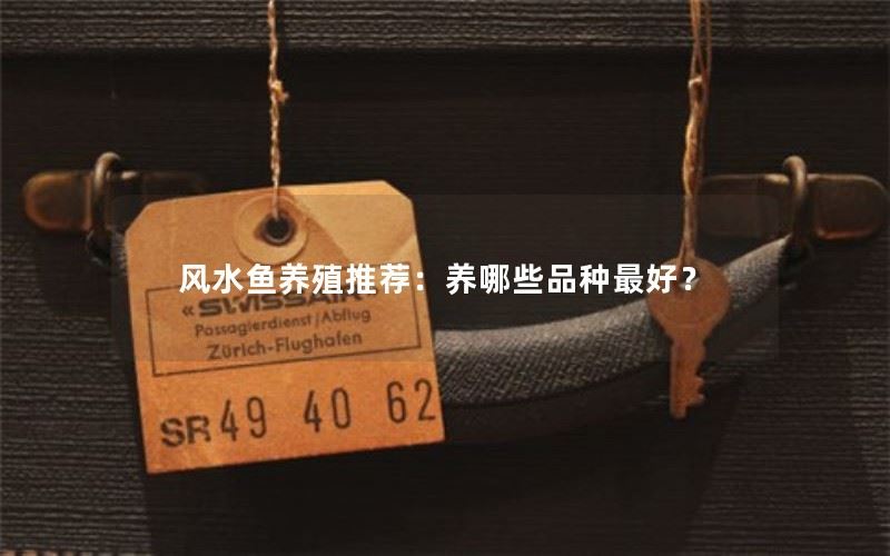 风水鱼养殖推荐：养哪些品种最好？