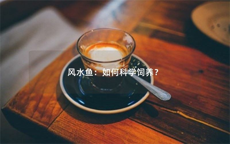 科学饲养风水鱼的技巧