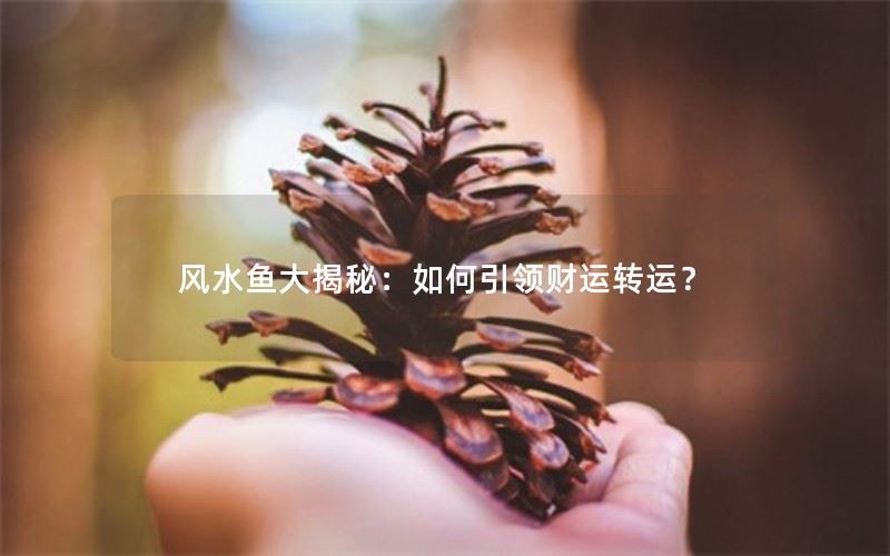 风水鱼大揭秘：如何引领财运转运？