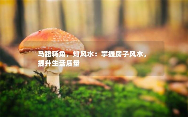 马路转角，知风水：掌握房子风水，提升生活质量