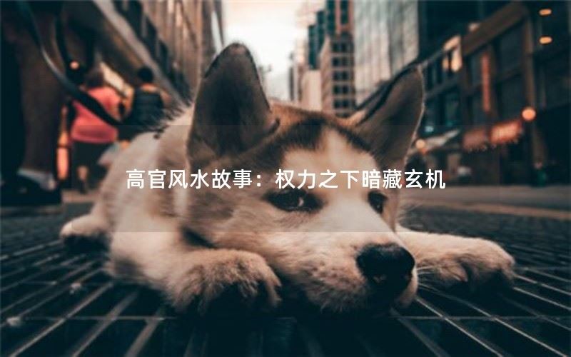 高官风水故事：权力之下暗藏玄机