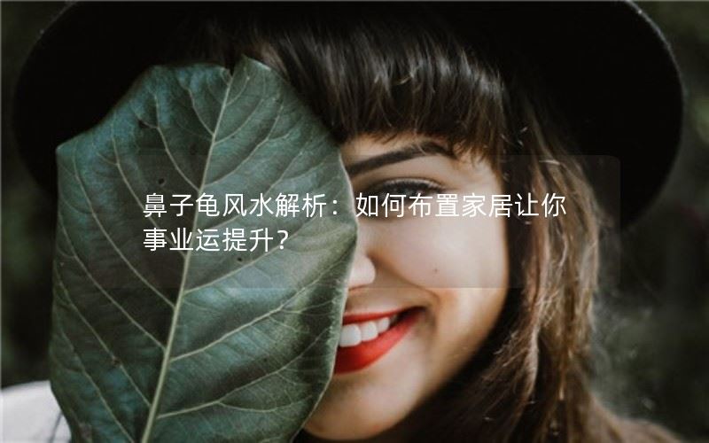 鼻子龟风水解析：如何布置家居让你事业运提升？