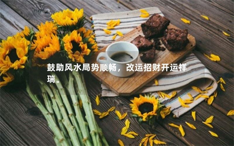 鼓助风水局势顺畅，改运招财开运祥瑞