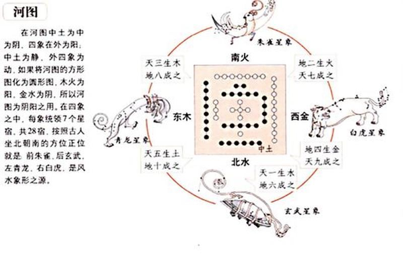 九星五行之道：探索天命津液的奥秘