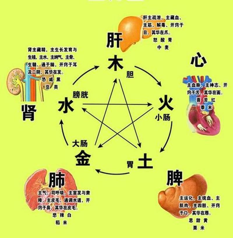 五行运用大揭秘：事物与五行的相互关联