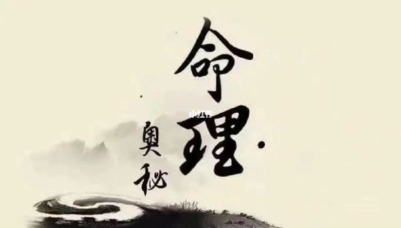 梦境神算：算命女士上门，揭秘人生奥秘