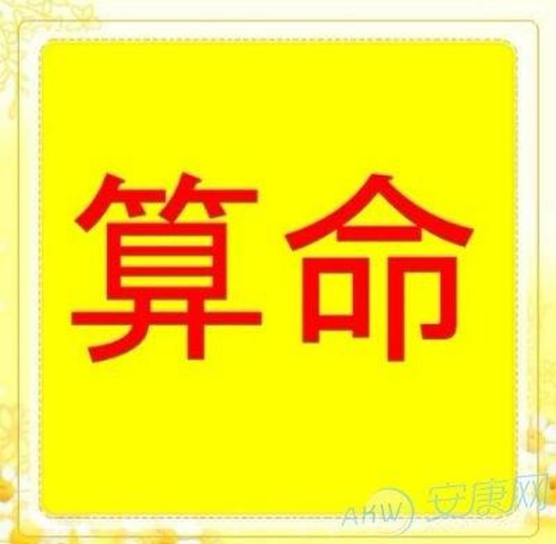 精准算命八字：看大象解读命运变化