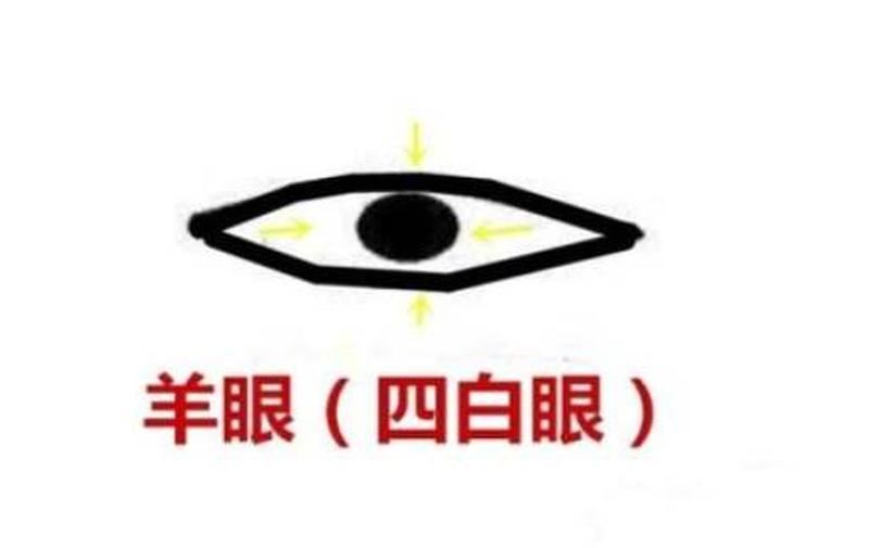 羊眼占星：探寻人生奥秘