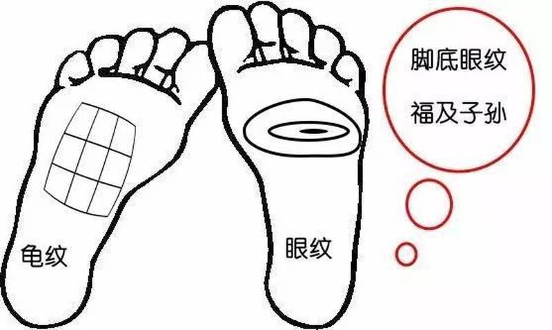 脚相算数字预测：一只脚的秘密揭示