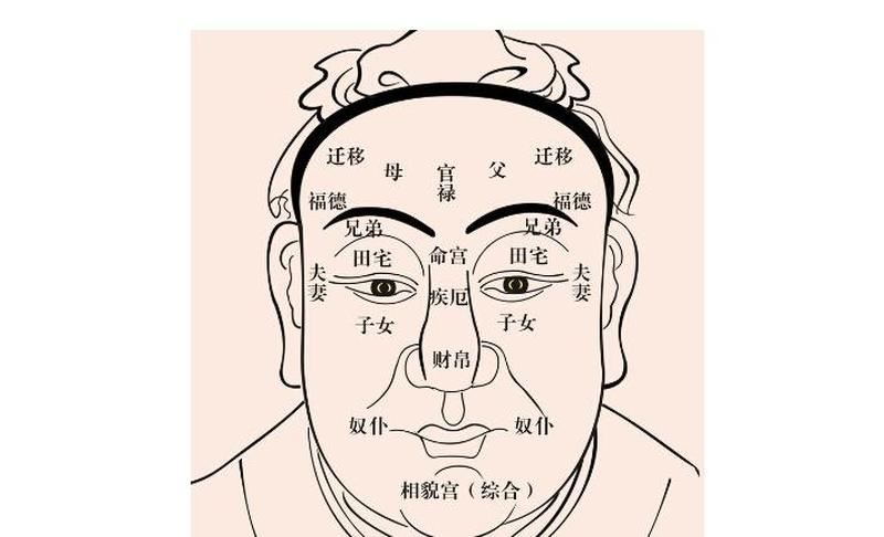 解剖算命：为何能算出你缺什么？