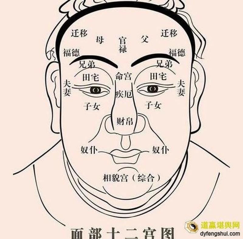 解密算命宫图：揭秘你的命运轨迹