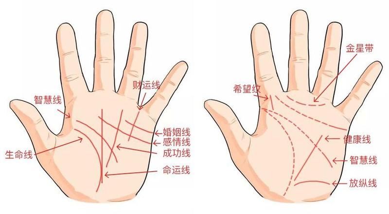 解析手相，揭秘命运奥秘