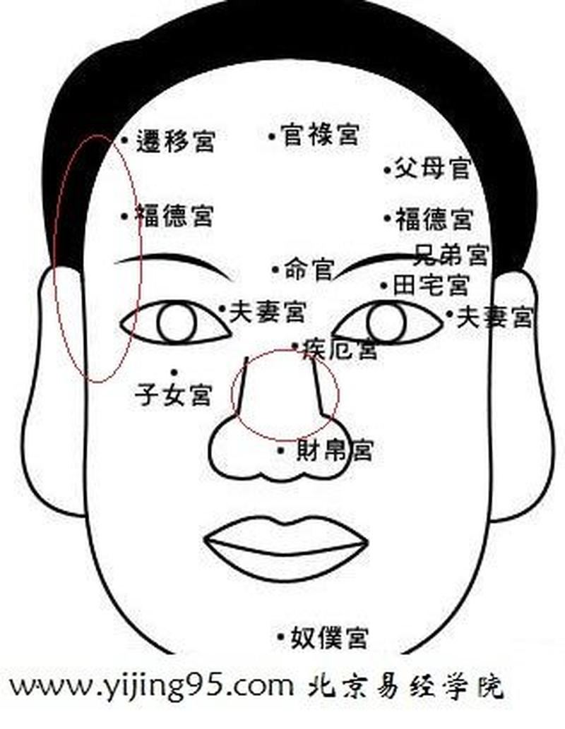 谈算命妻宫硬磕是何含义