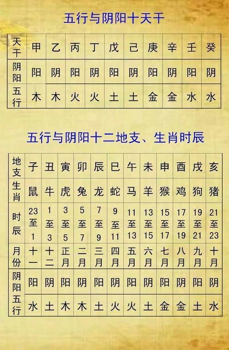 运用八字五行，掌握人生命格