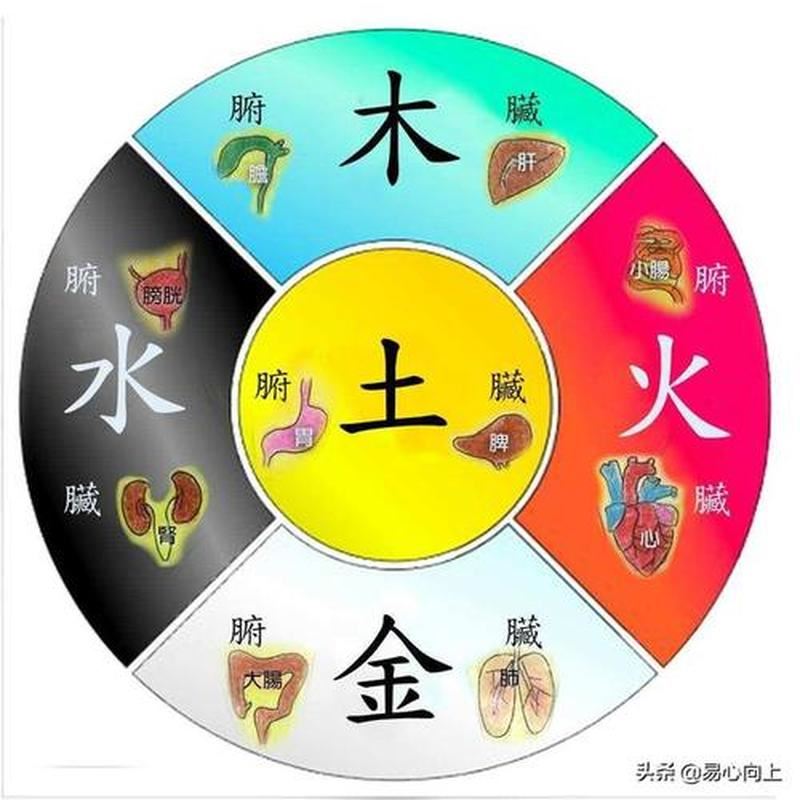 金木相生：五行之力在自然界中的巧妙运用