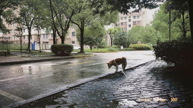 雨中命运迷津：探寻雨天算命的神秘奥义