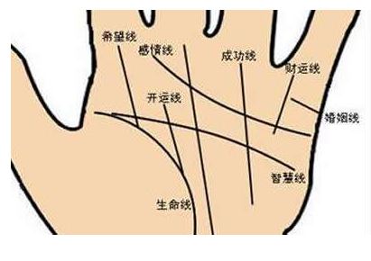 手相分析