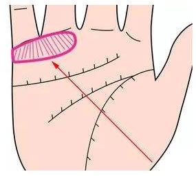 有钱财纹路的手相