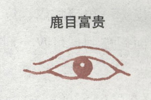 富贵眼