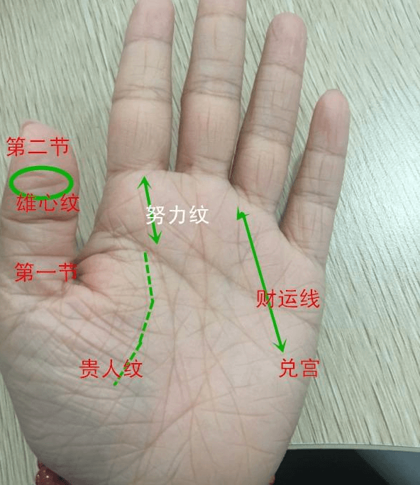 杂乱手纹手相分析案例:纹多心绪多,纹生屈曲,多疑多虑