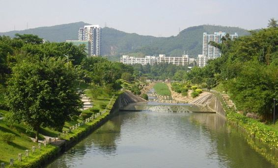 墓地凹陷,墓碑损坏