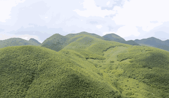 坟墓的正前方不宜有高山