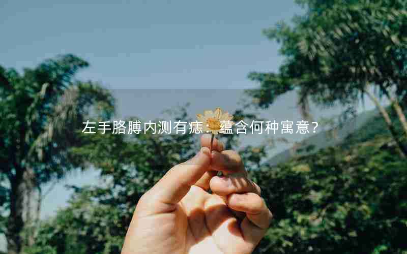 左手胳膊内测有痣：蕴含何种寓意？