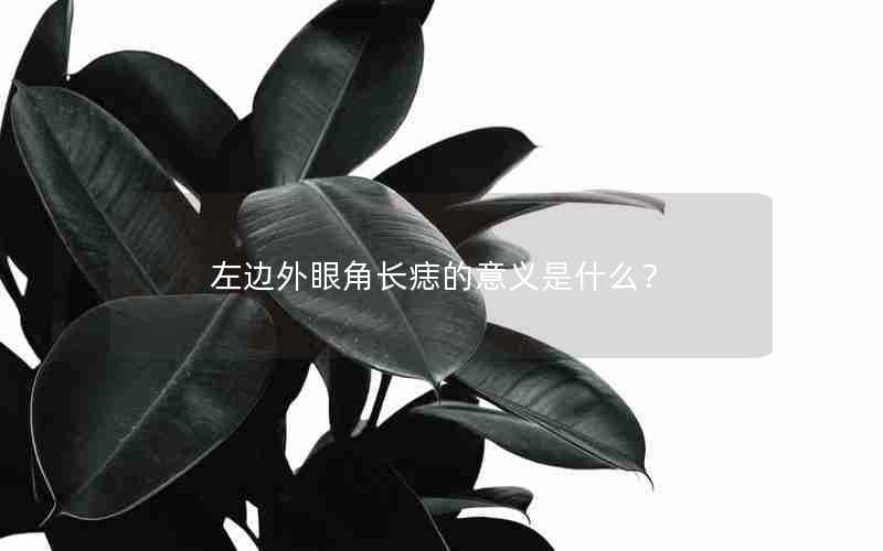 左边外眼角长痣的意义是什么？