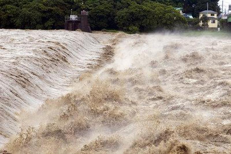 掉进浑水里