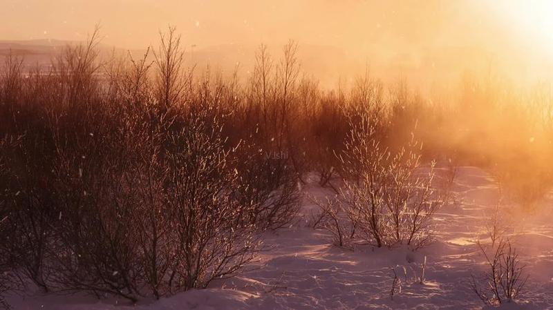 在大太阳中下雪