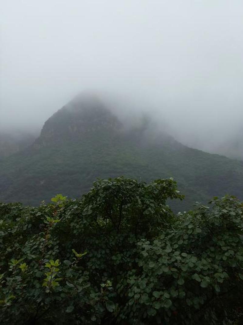 山上下雨