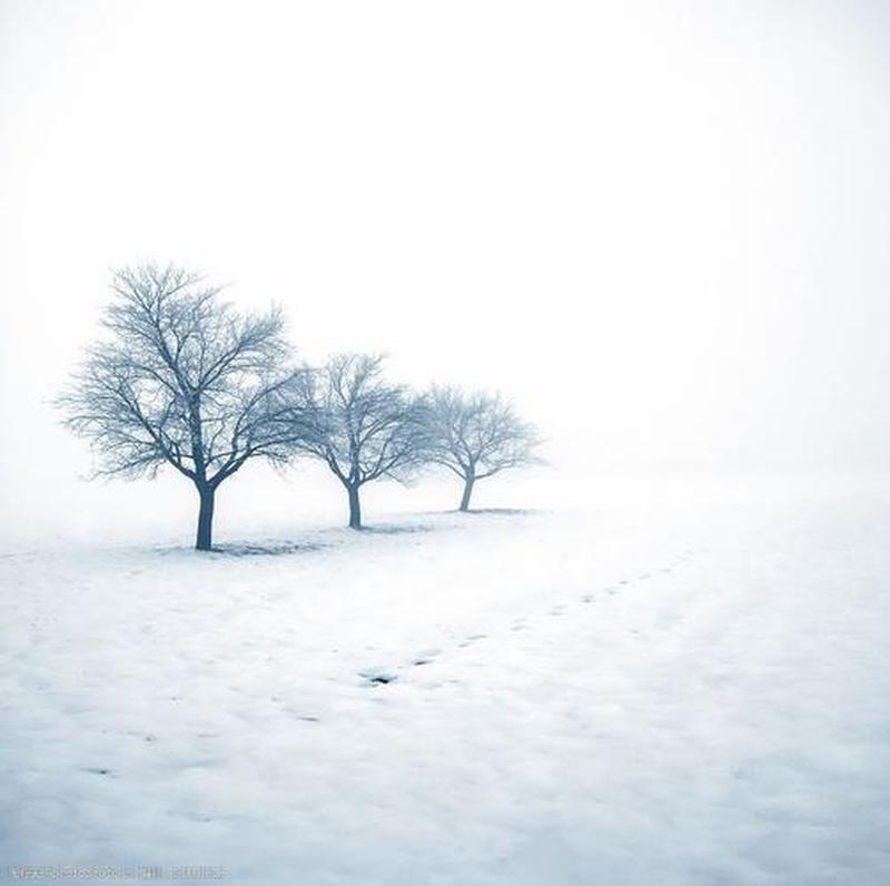 雪地