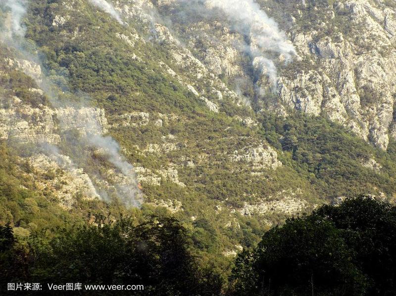 山林起火 山中起火